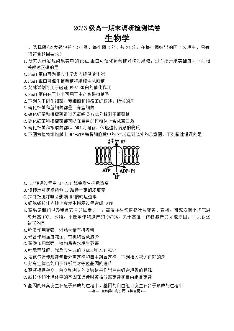 江西省南昌市2023-2024学年高一下学期7月期末生物试题(02)01