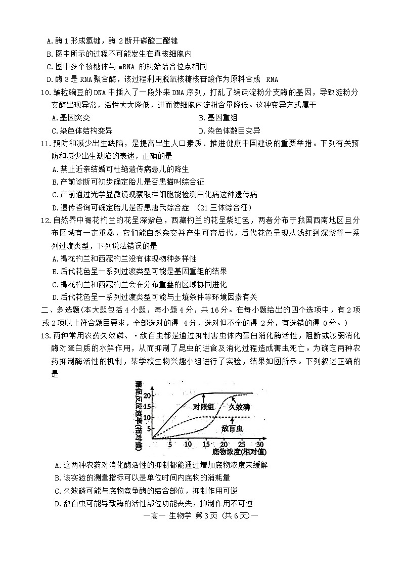江西省南昌市2023-2024学年高一下学期7月期末生物试题(02)03