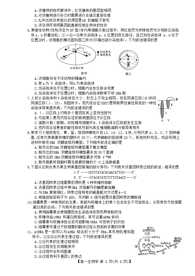 山西省临汾市金科2023-2024学年高一下学期期末联考生物试题02