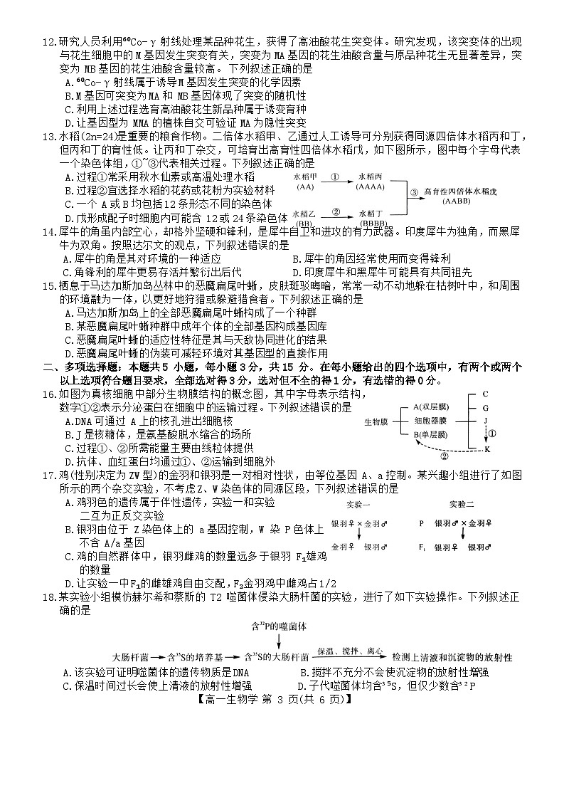 山西省临汾市金科2023-2024学年高一下学期期末联考生物试题03