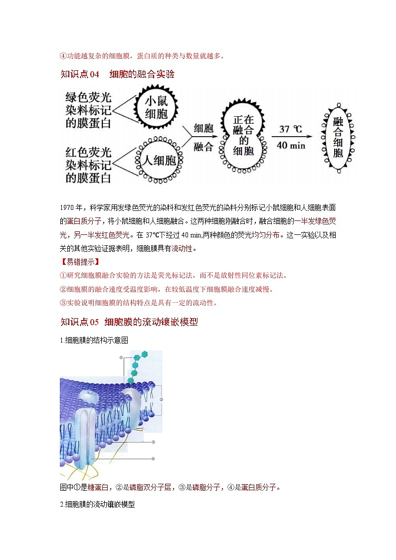 人教版（2019）必修一3.1 细胞膜的结构和功能知识清单03