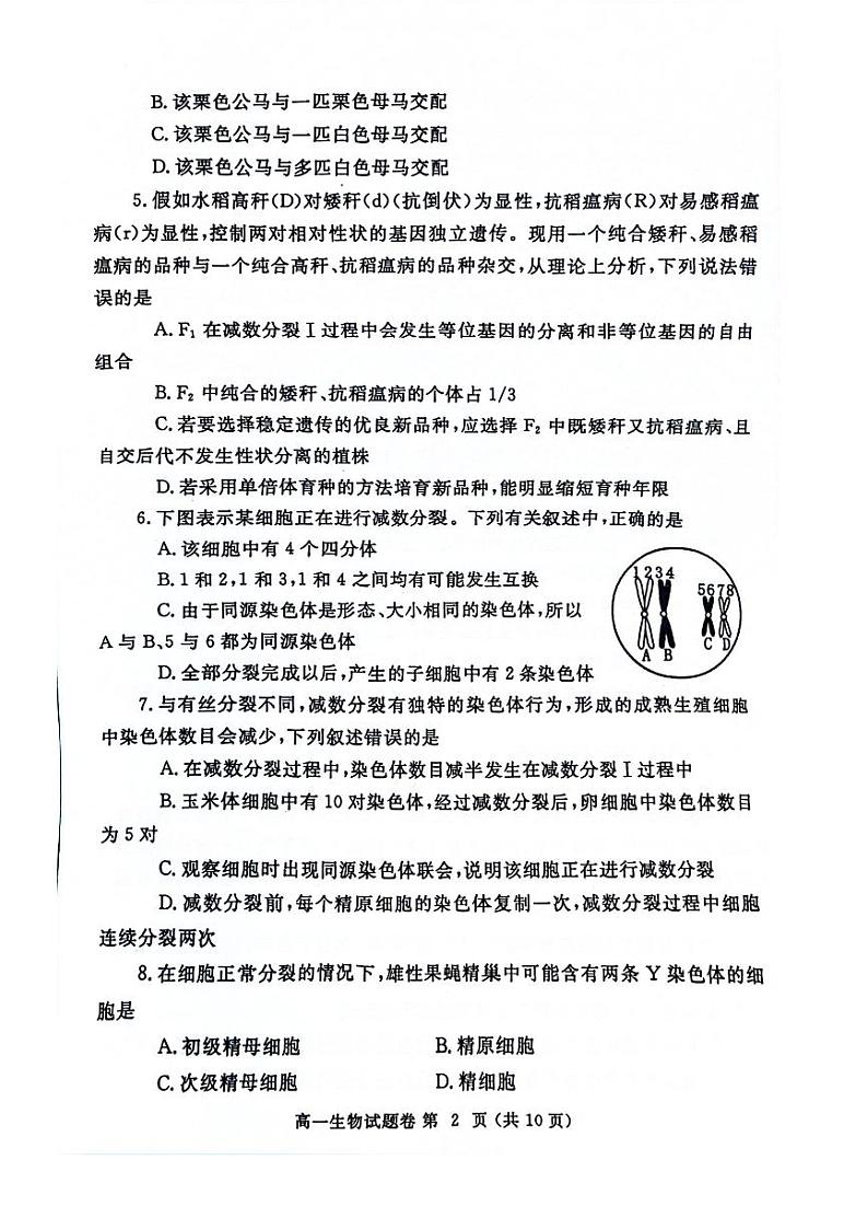 2024郑州市高一下学期期末生物试卷及答案第2页