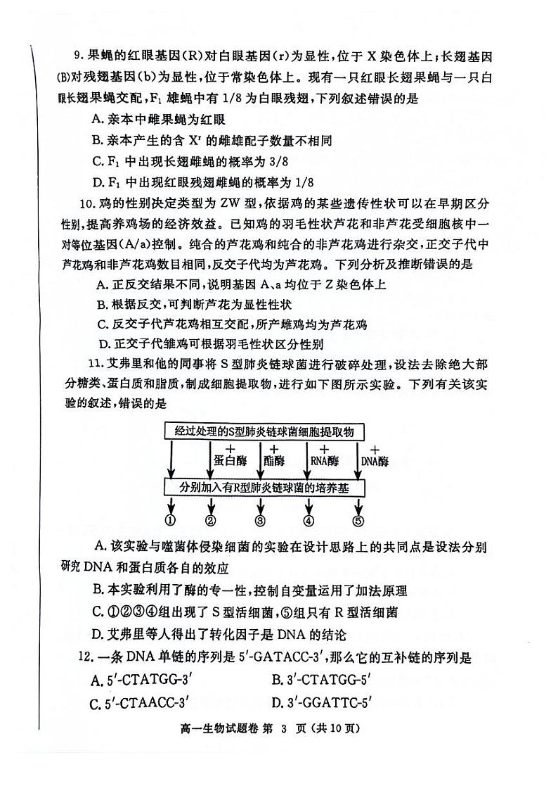 2024郑州市高一下学期期末生物试卷及答案第3页