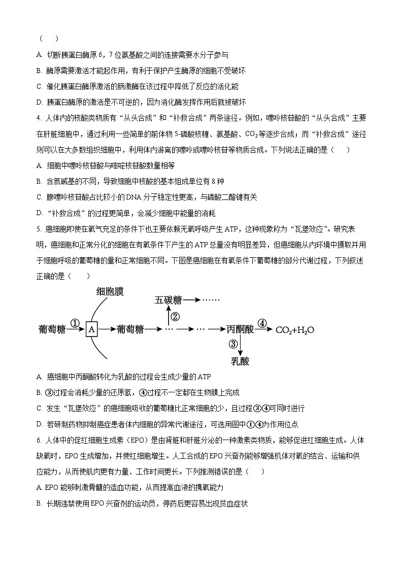 2024烟台牟平区一中高二下学期6月月考试题生物含解析第2页