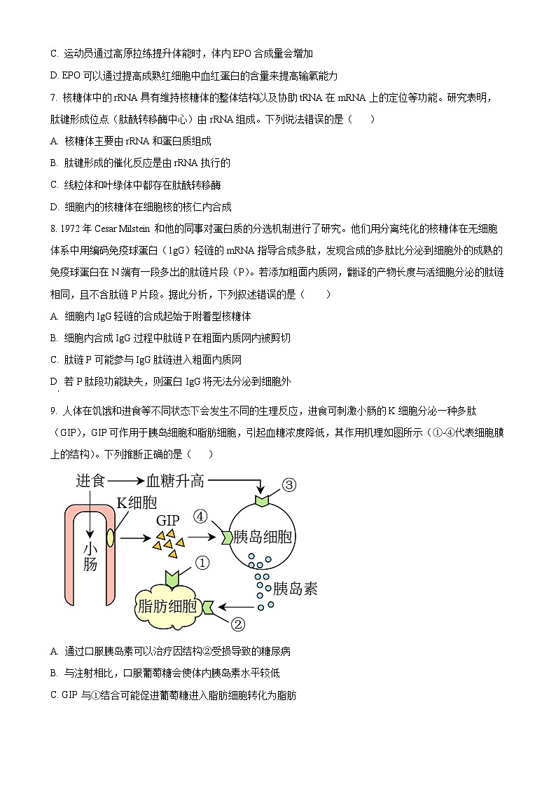 2024烟台牟平区一中高二下学期6月月考试题生物含解析第3页