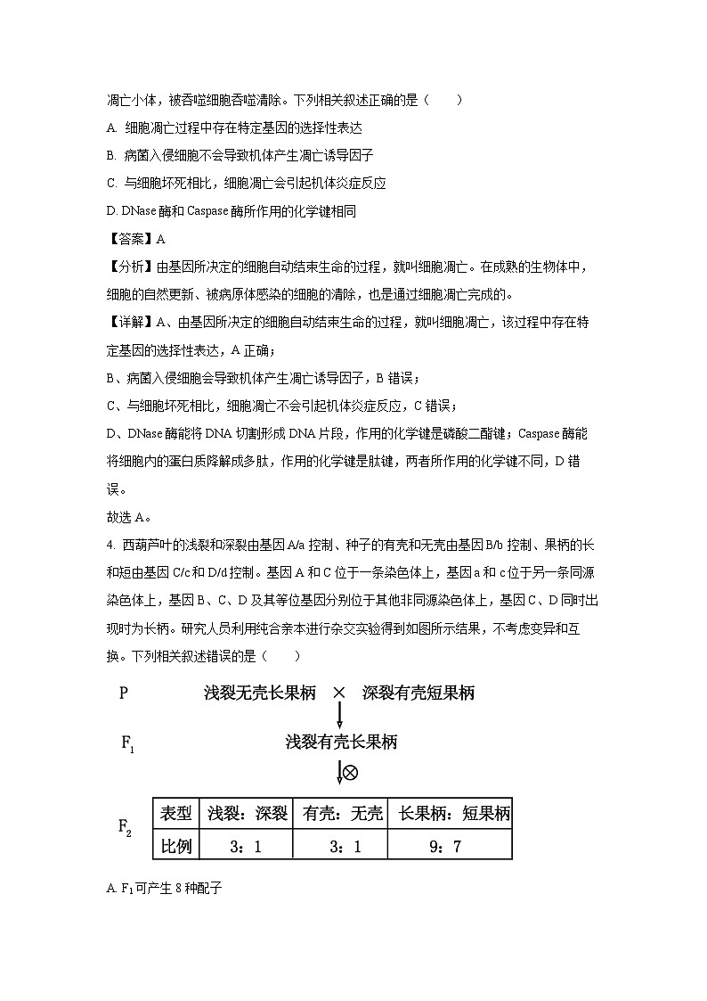 [生物]湖北省部分学校2023-2024学年高二下学期6月月考试题(解析版)03