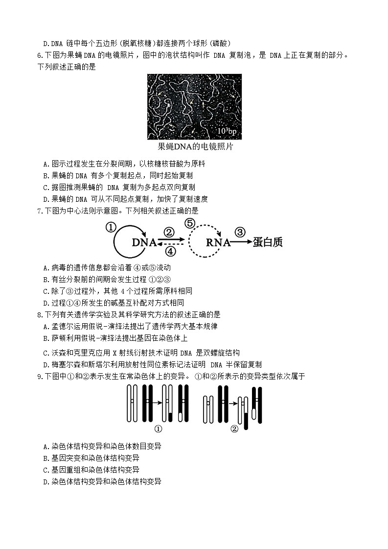 江苏省南京市江宁区2023-2024学年高一下学期6月期末考试生物试题02