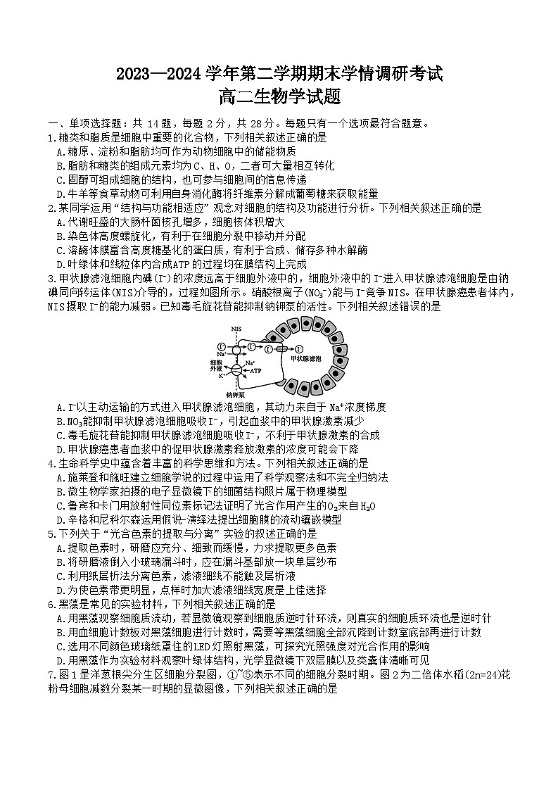 江苏省南京市江宁区2023-2024学年高二下学期期末考试生物试题01