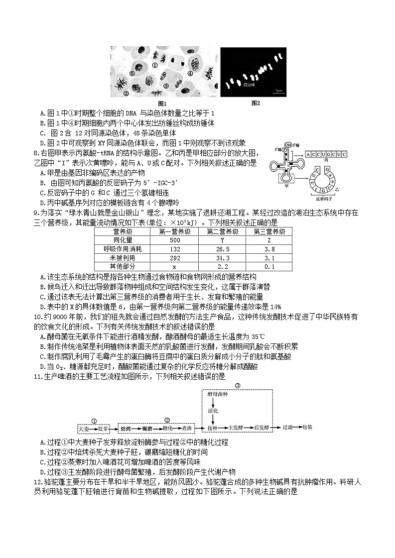 江苏省南京市江宁区2023-2024学年高二下学期期末考试生物试题02