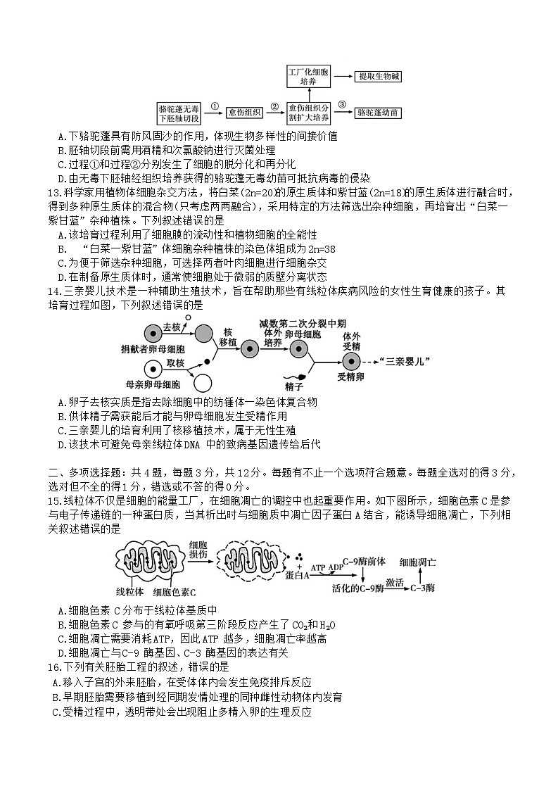 江苏省南京市江宁区2023-2024学年高二下学期期末考试生物试题03