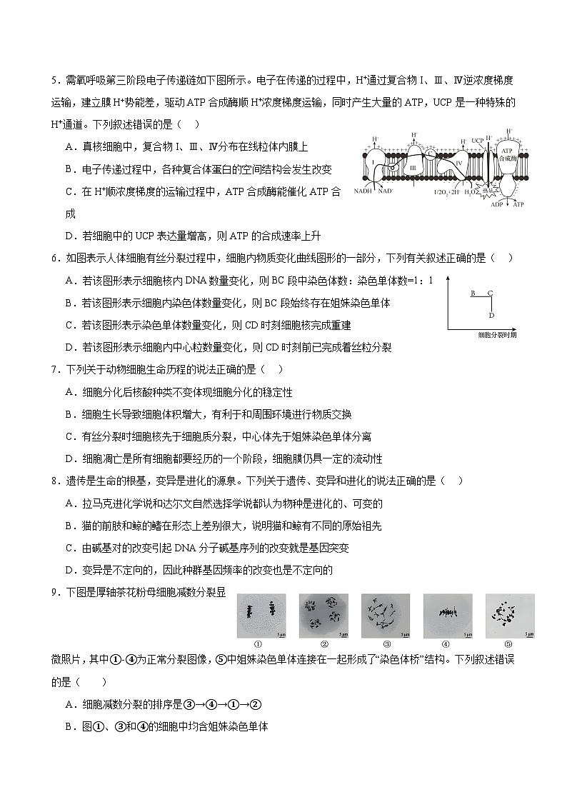 江苏省南京市第一中学2023-2024学年高二下学期期末考试生物试题02