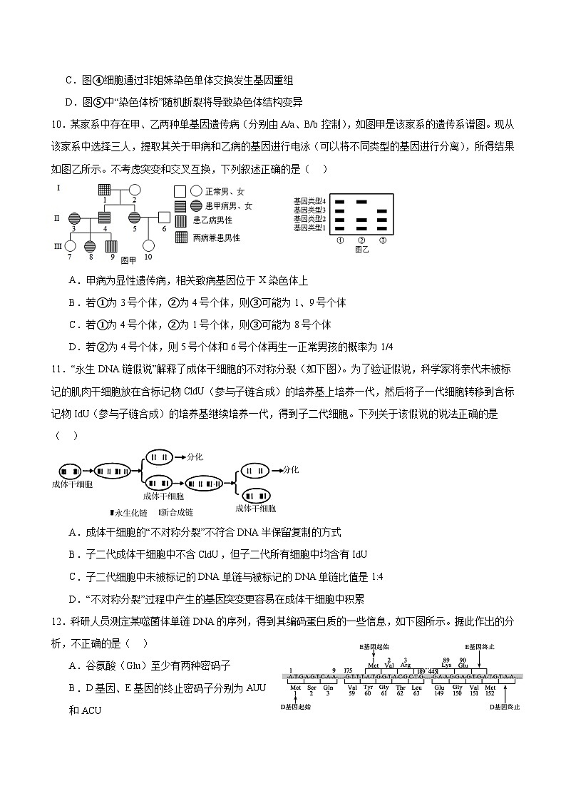 江苏省南京市第一中学2023-2024学年高二下学期期末考试生物试题03