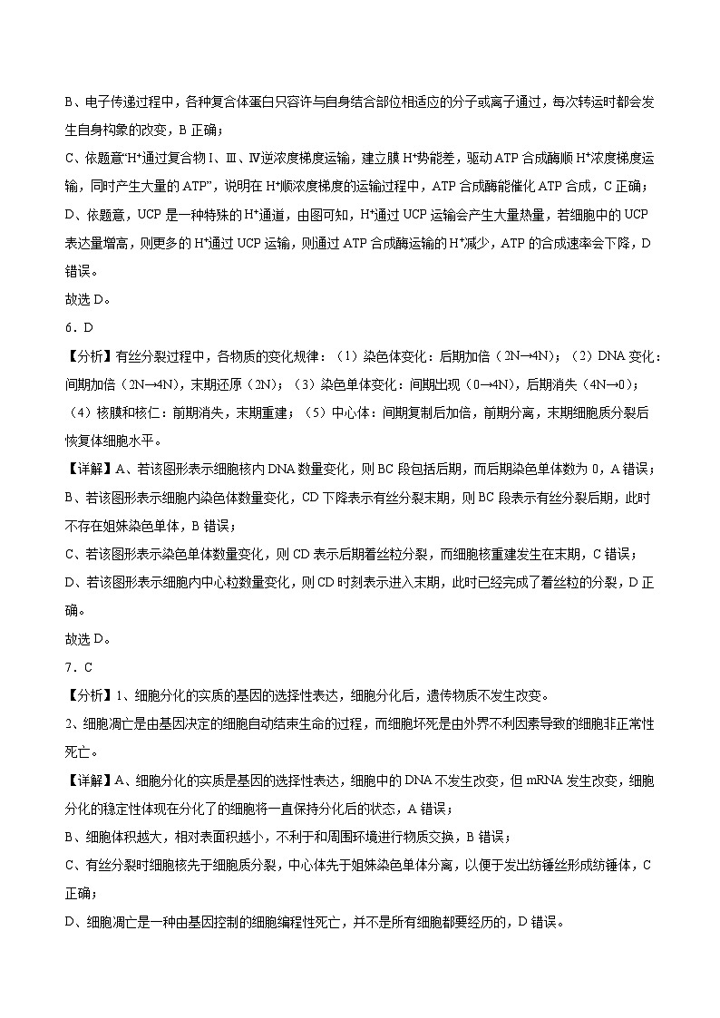 江苏省南京市第一中学2023-2024学年高二下学期期末考试生物试题03