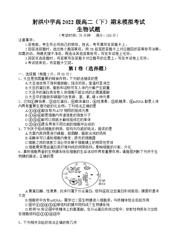 四川省遂宁市射洪中学2023-2024学年高二下学期期末模拟生物试题 Word版含答案01