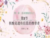 人教版（2019）必修一2.5 核酸是遗传信息的携带者课件