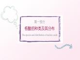 人教版（2019）必修一2.5 核酸是遗传信息的携带者课件