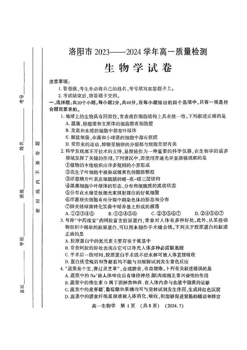 河南省洛阳市2023-2024学年高一下学期7月期末考试生物试题01