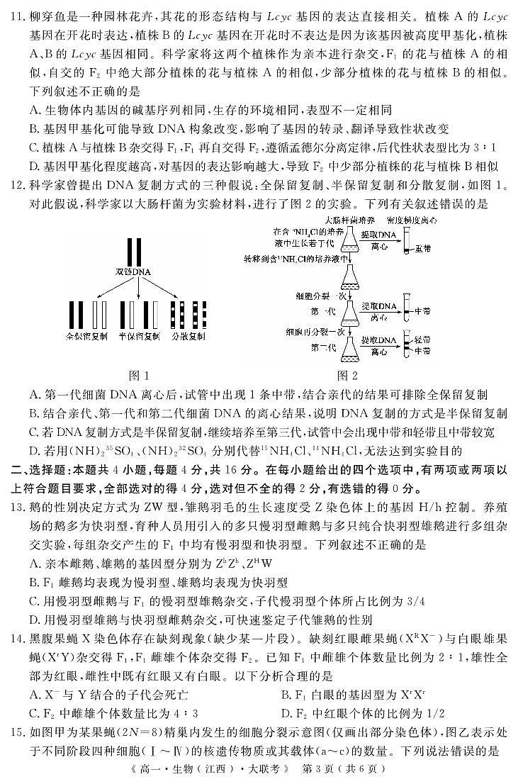 江西省重点中学协作体2023-2024学年高一下学期期末考试生物试题第3页