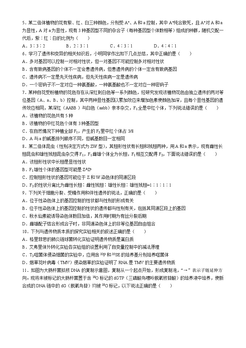 湖北省2023-2024学年高一下学期7月期末生物试题+第2页