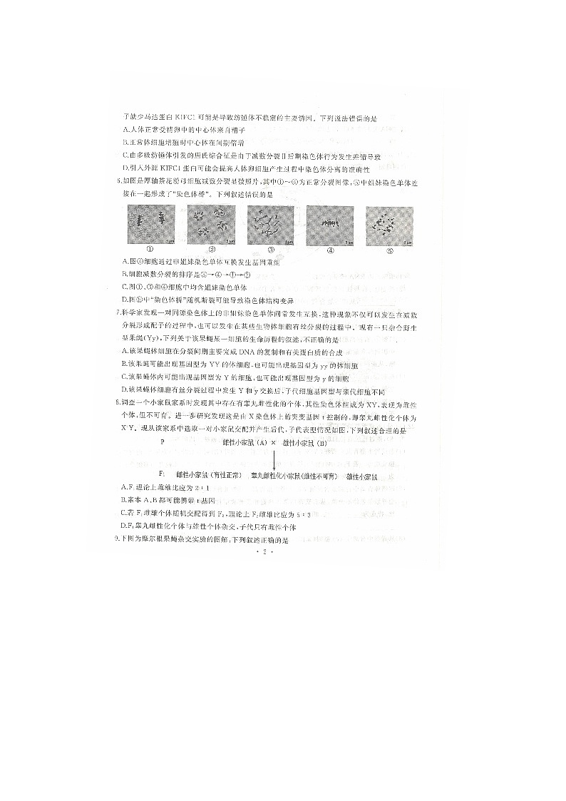 湖北省武汉市江岸区2023-2024学年高一下学期7月期末生物试题第2页