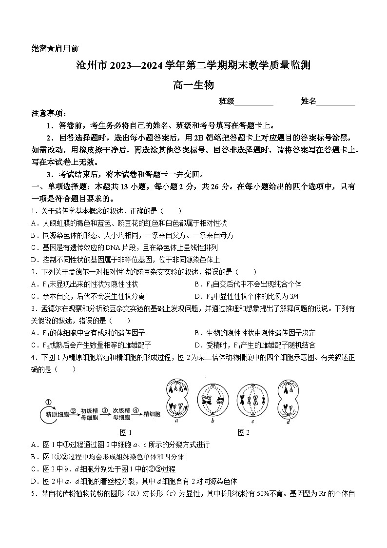 河北省沧州市2023-2024学年高一下学期7月期末教学质量监测生物试题(无答案)01