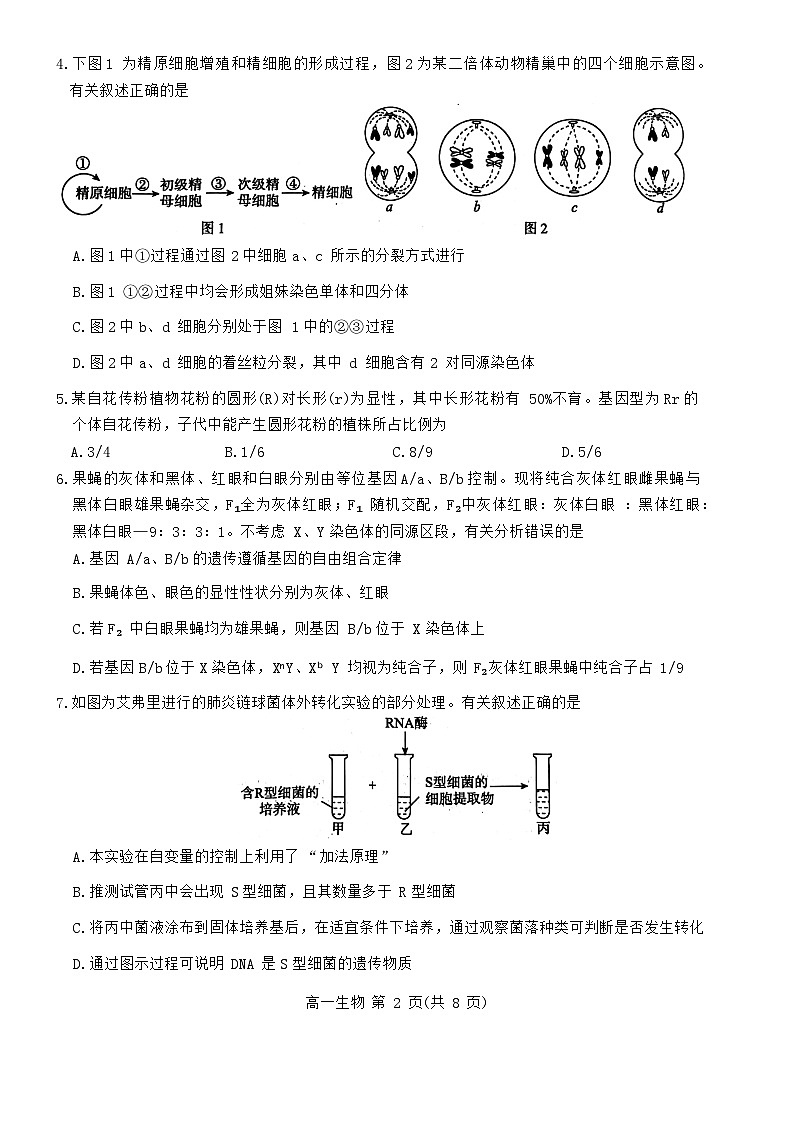 河北省沧州市2023-2024学年高一下学期7月期末教学质量监测生物试题第2页