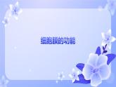 人教版（2019）必修一3.1 细胞膜的结构和功能课件