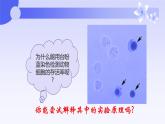 人教版（2019）必修一3.1 细胞膜的结构和功能课件