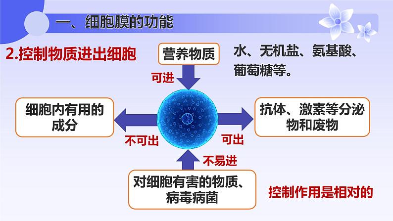 人教版（2019）必修一3.1 细胞膜的结构和功能课件07