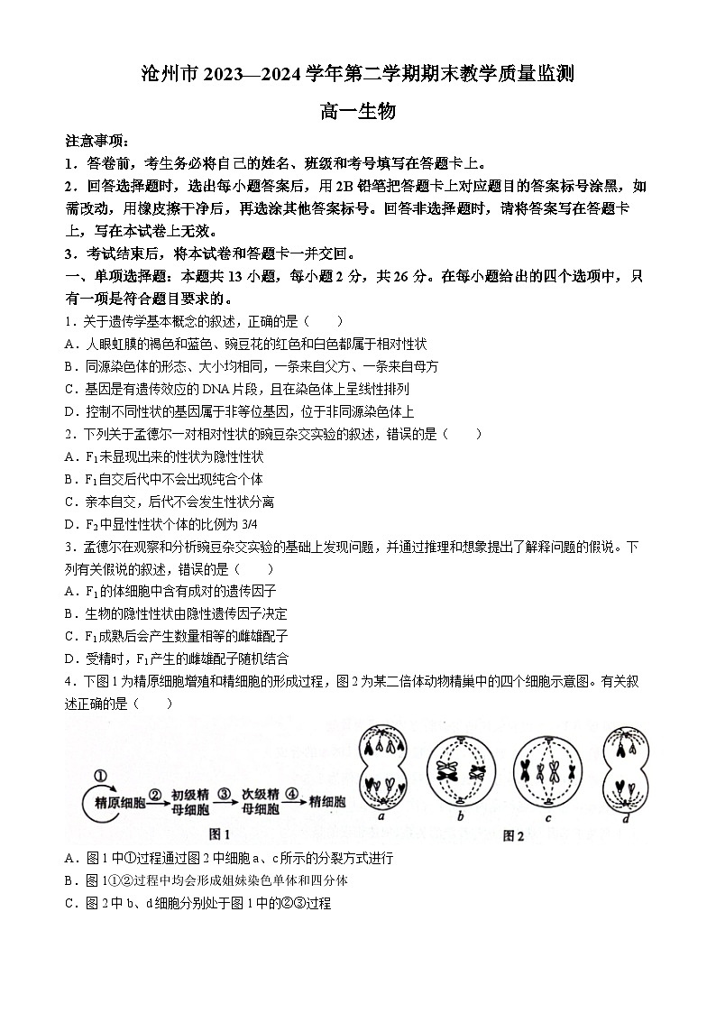 河北省沧州市2023-2024学年高一下学期7月期末教学质量监测生物试题第1页