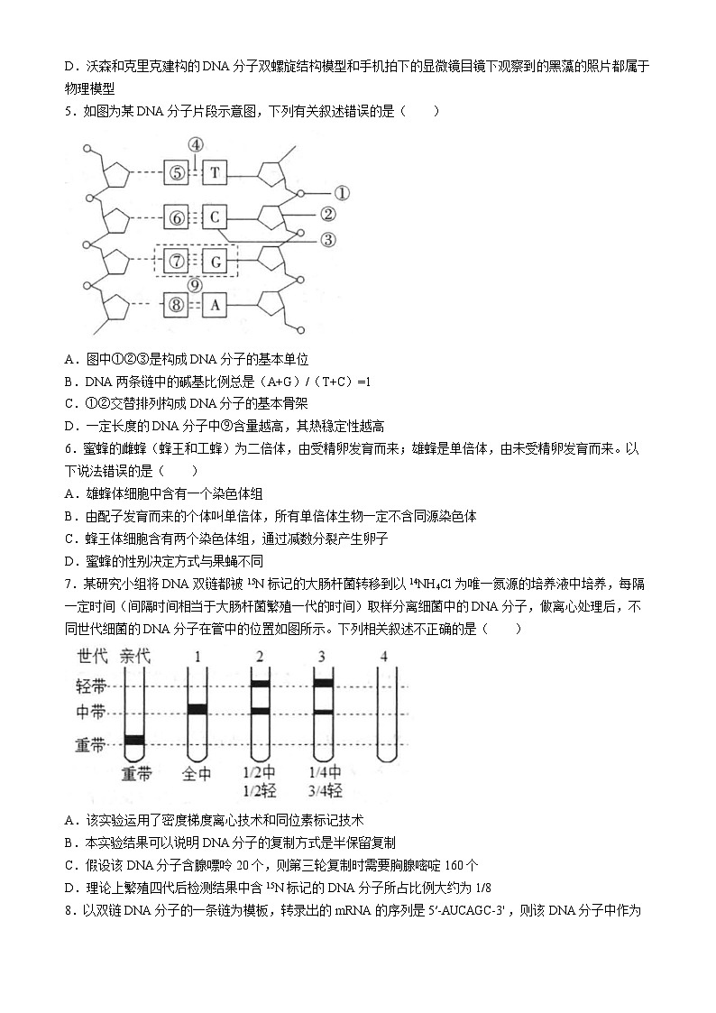 河北省张家口京源高级中学2023-2024学年高一年级下学期期末考试生物试题(无答案)02