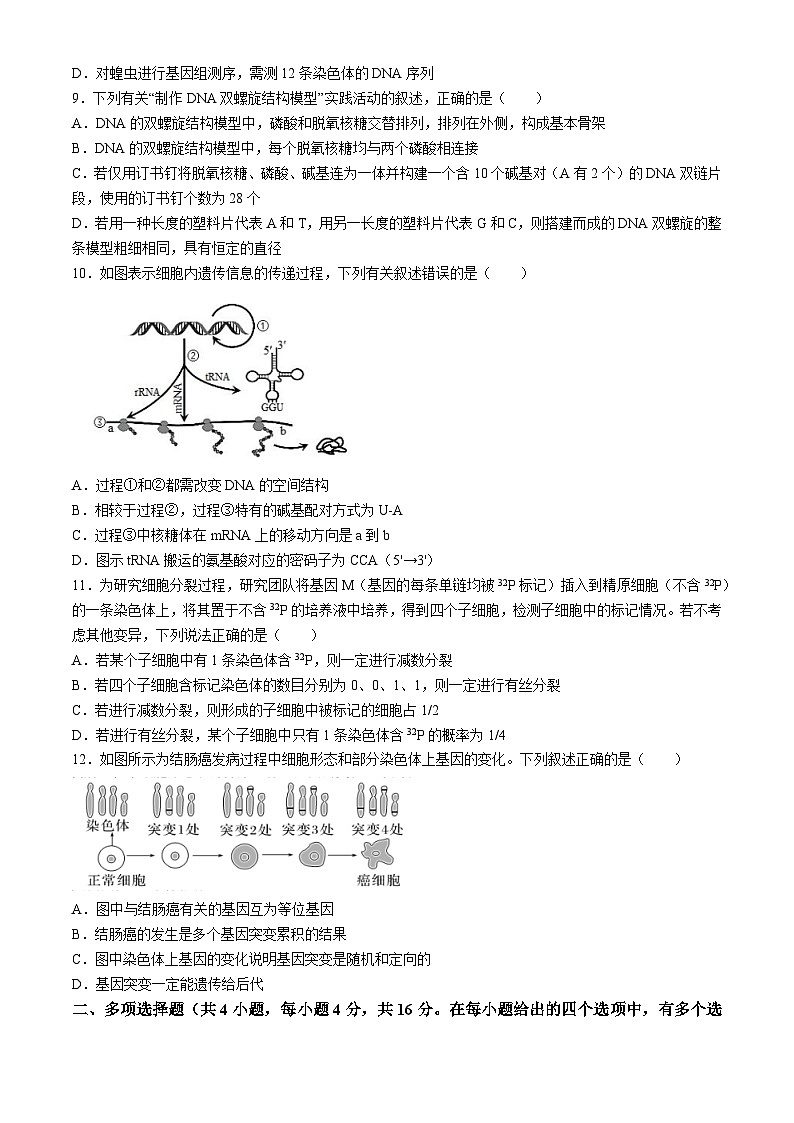 江西省宜春市袁州区江西省宜春中学2023-2024学年高一下学期7月期末生物试题第3页