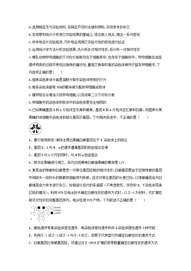 陕西省西安市蓝田县城关中学大学区联考2023-2024学年高一下学期6月期末生物试题02