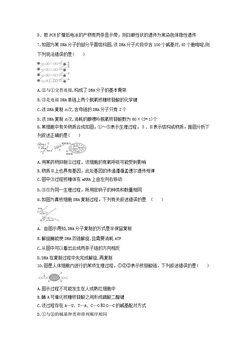 陕西省西安市蓝田县城关中学大学区联考2023-2024学年高一下学期6月期末生物试题03