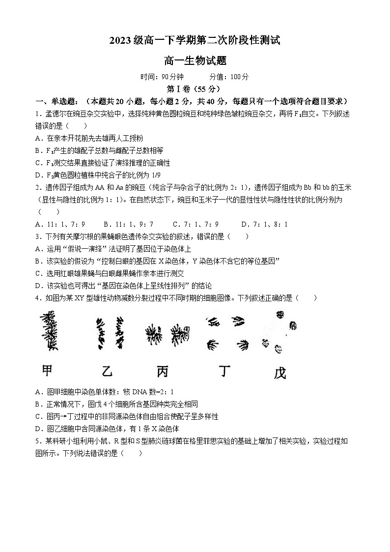 2024聊城一中高一下学期第二次阶段性测试生物含答案第1页