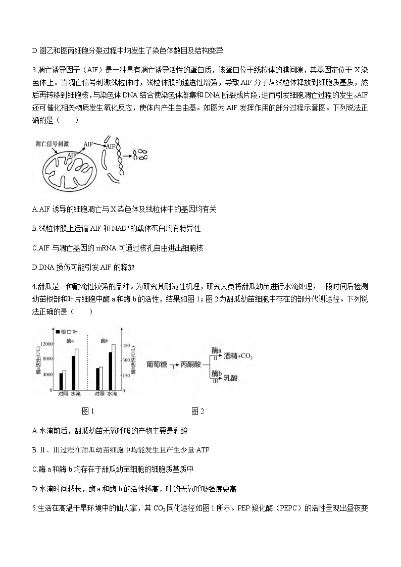 重庆市育才中学、万州高级中学及西南大学附中2024届高三上学期12月三校联考生物试题含答案02