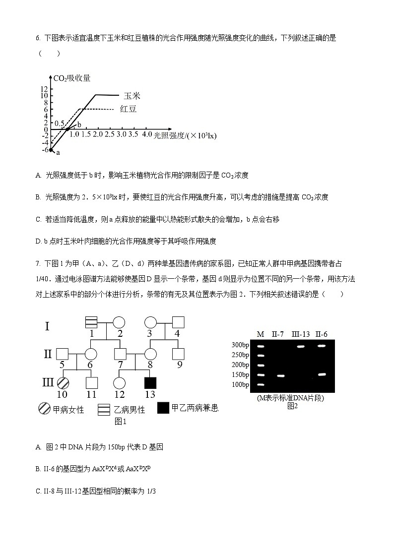 2024届山东省名校高三模拟预测生物试题（原卷版）03