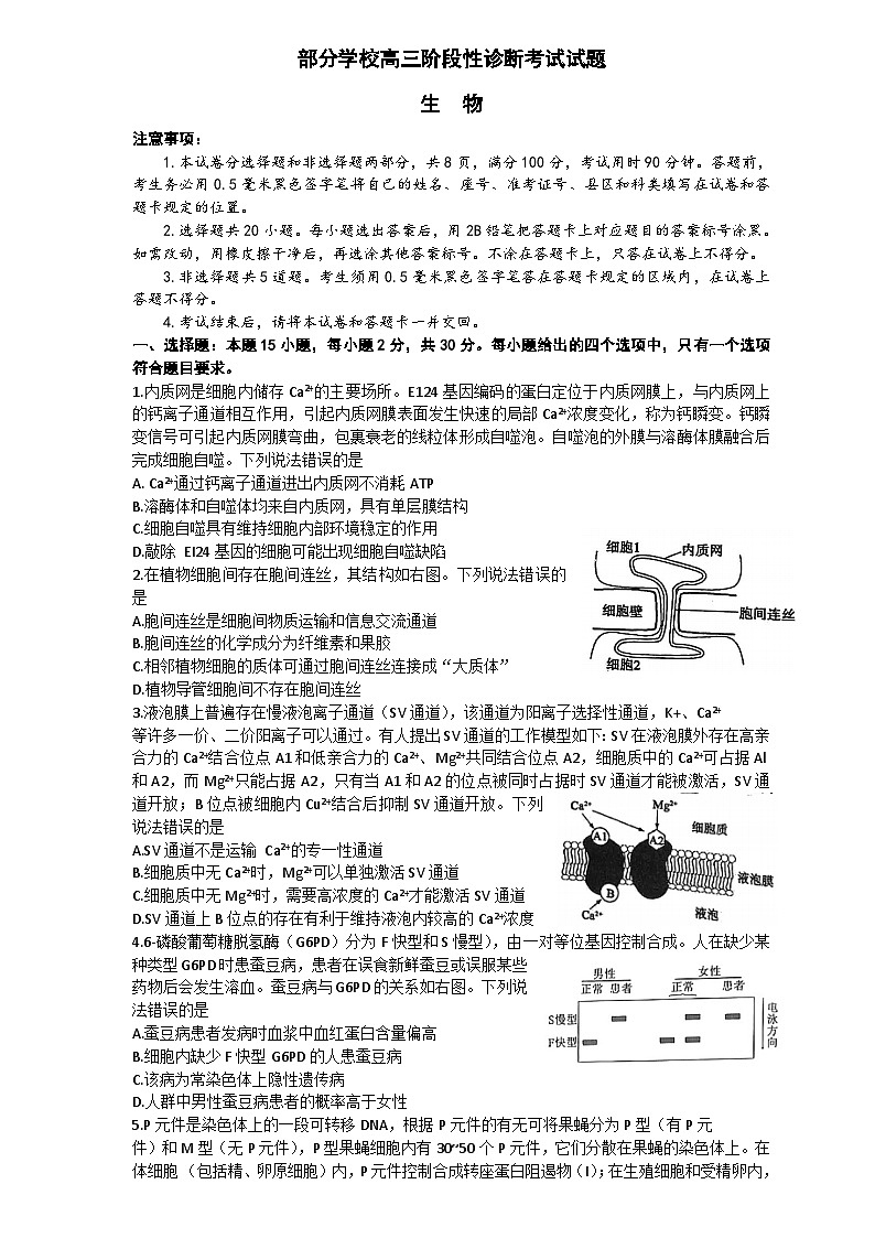 山东省淄博市2023届高三下学期二模考试生物试题含答案第1页