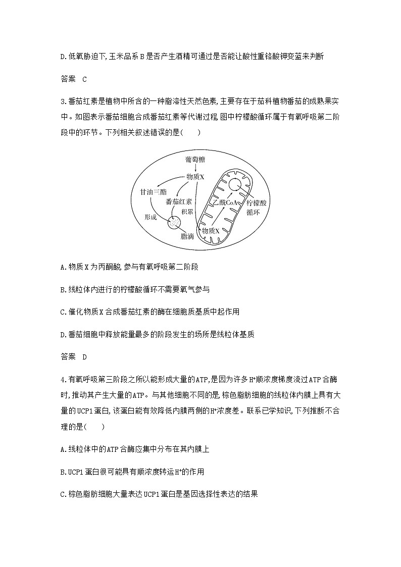 高考生物（山东专用）复习专题5细胞呼吸过关检测含答案第2页