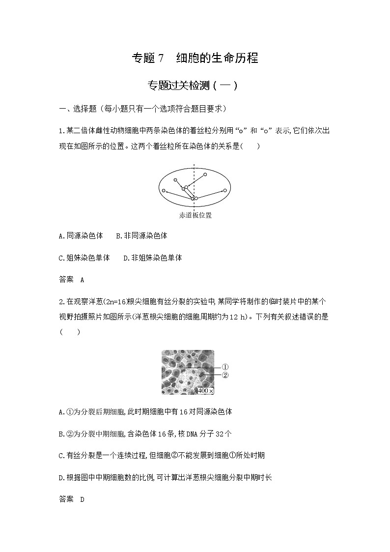 高考生物（山东专用）复习专题7细胞的生命历程过关检测含答案第1页