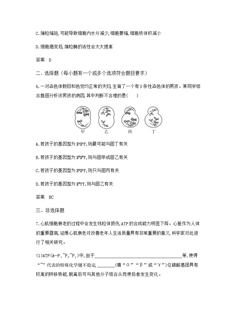 高考生物（山东专用）复习专题7细胞的生命历程过关检测含答案第3页