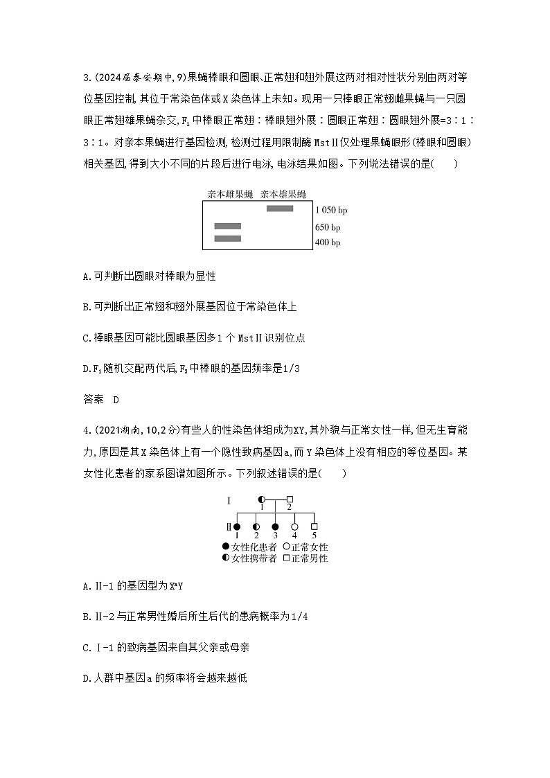 高考生物（山东专用）总复习阶段检测练必修2遗传与进化含答案第2页