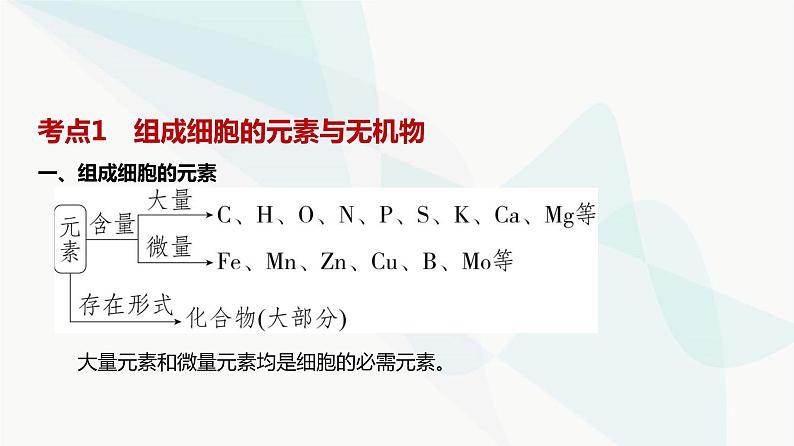 高考生物（山东专用）复习专题1细胞的分子组成教学课件第2页