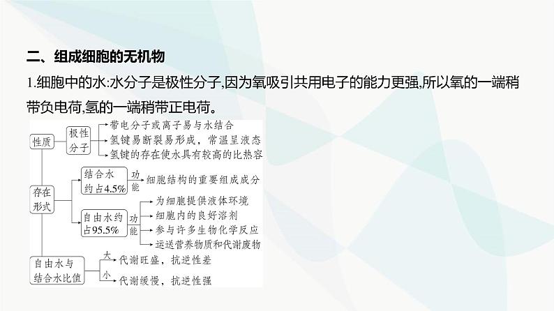 高考生物（山东专用）复习专题1细胞的分子组成教学课件第3页