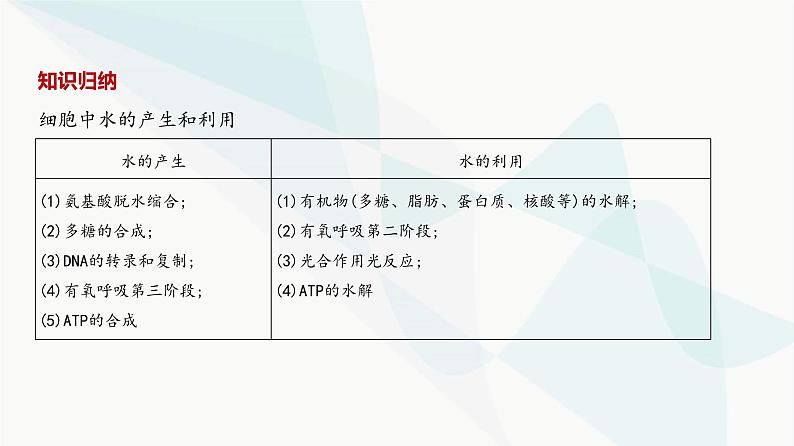 高考生物（山东专用）复习专题1细胞的分子组成教学课件第4页