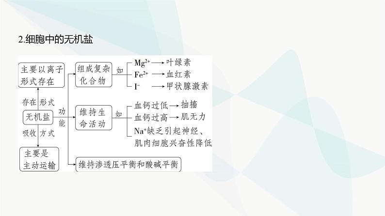 高考生物（山东专用）复习专题1细胞的分子组成教学课件第5页