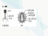 高考生物（山东专用）复习专题2细胞的结构与功能教学课件
