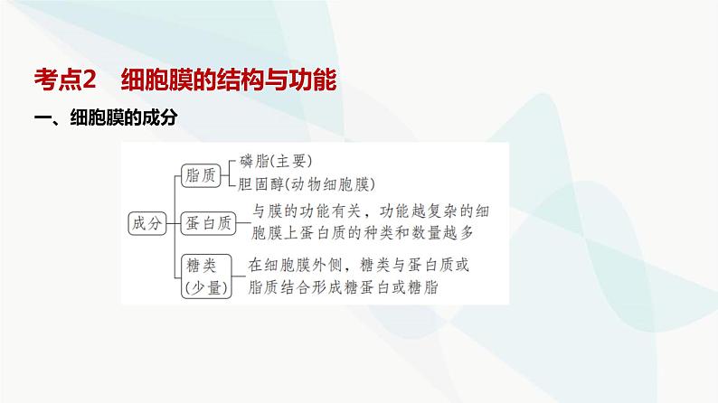 高考生物（山东专用）复习专题2细胞的结构与功能教学课件第8页