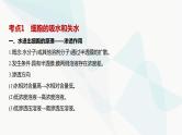高考生物（山东专用）复习专题3细胞的物质输入和输出教学课件