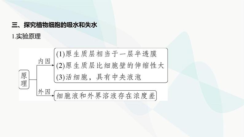 高考生物（山东专用）复习专题3细胞的物质输入和输出教学课件第4页